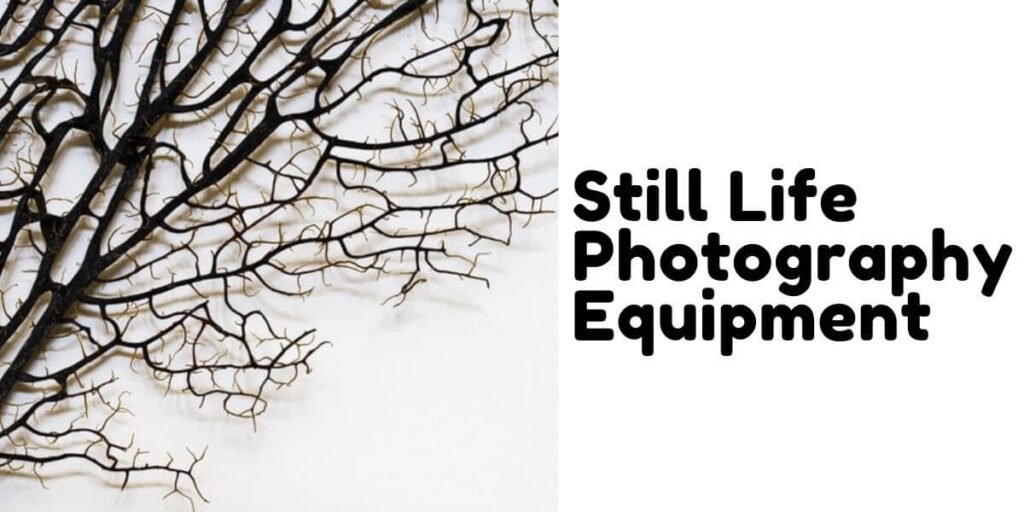 Basic still life photography gear including camera and lighting setup